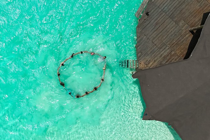 Photography and Filming with drone and camera - Who Will Get the Most From This