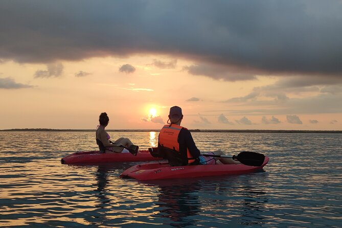 Pirate's Channel & 3 Lagoons Kayak or SUP/Paddle Tour +Meditation - Mariscal Lagoon and the Mangrove Sanctuary