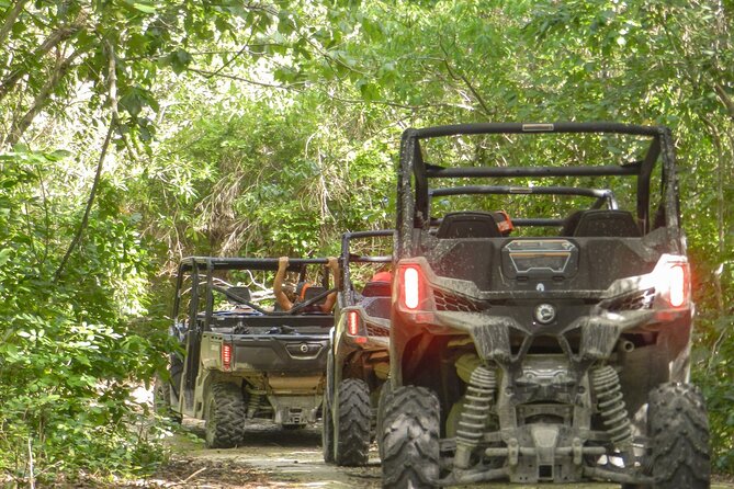 Playa del Carmen Buggy Tour with Cenote Swim and Mayan Village Visit - What the jungle drive is really like