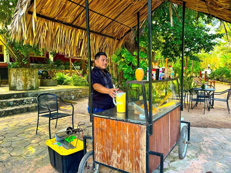 Playa del Carmen: Chichen Itza, Valladolid, Cenote & Buffet - What the $89 price really covers