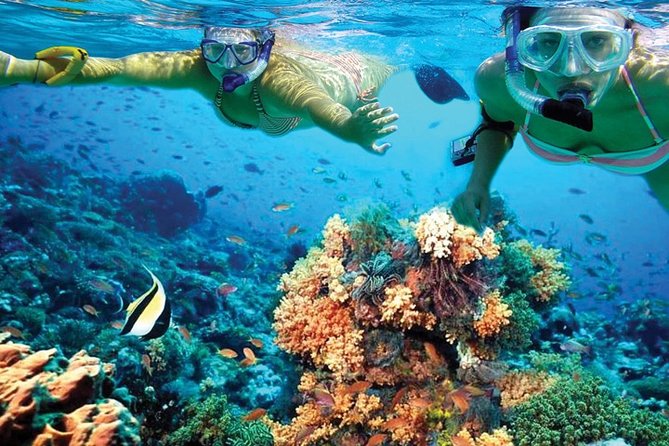 Plus Experience Isla Mujeres Tour - Practical costs, weather, and cancellation rules