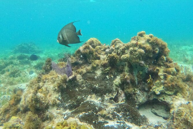 Premium Isla Mujeres Tour by Private Catamaran - Who should book this Isla Mujeres trip
