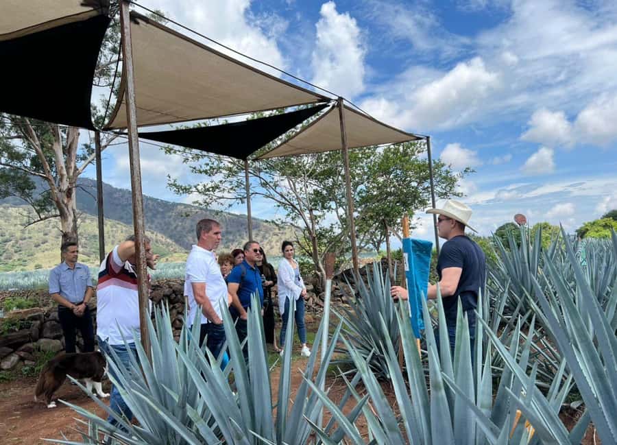 Premium Tequila Route with professional tasting - Why this tequila route is different