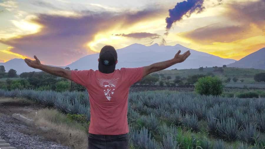Premium Tequila Route with professional tasting - Learning to taste tequila properly