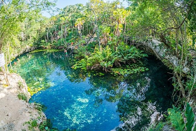 Private 2-Cenote Snorkeling Tour with Authentic Mayan Lunch - A Mayan lunch in the jungle changes the pace