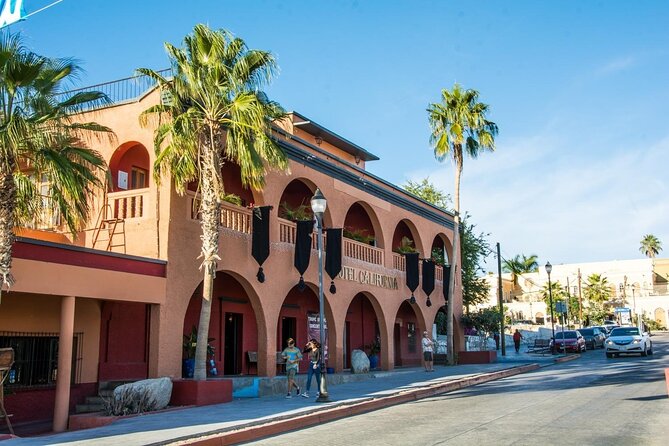 Private 6-Hour Todos Santos Tour from Los Cabos - Drivers who can make or break the day