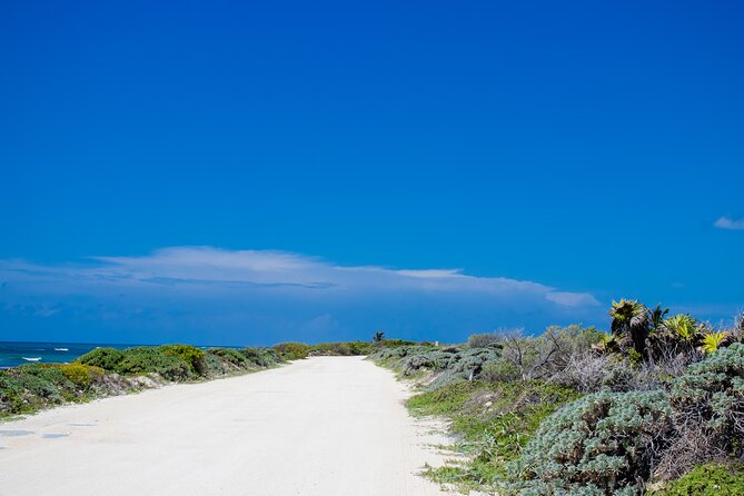 Private Buggy Tour and Punta Sur Park: All-Inclusive - Why Punta Sur Is the Main Event