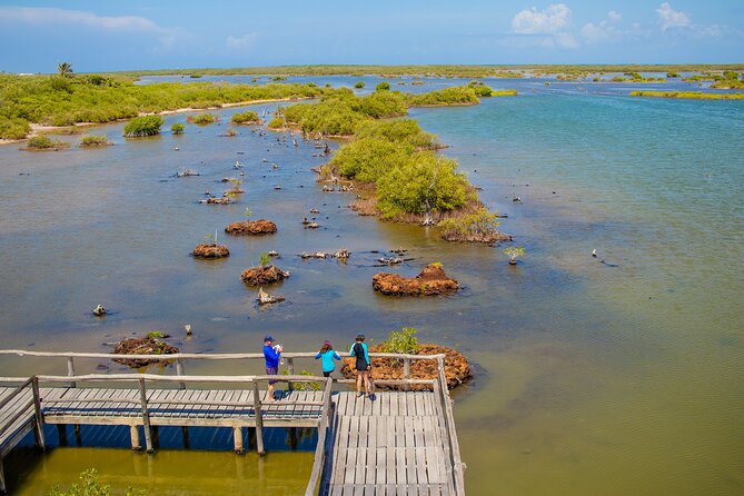 Private Buggy Tour and Punta Sur Park: All-Inclusive - Playa San Martín and the East Coast