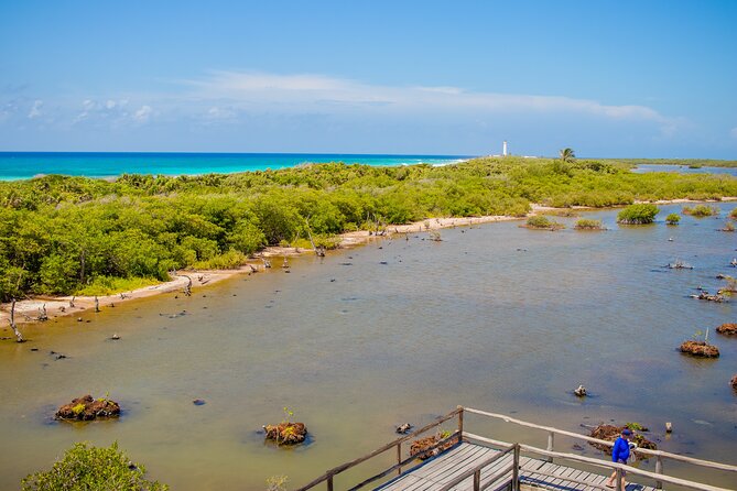 Private Buggy Tour and Punta Sur Park: All-Inclusive - The Tequila and Chocolate Stop