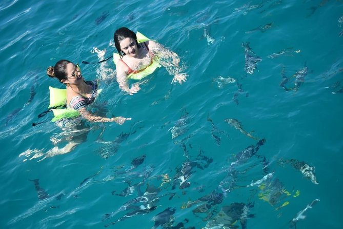 Private Catamaran Snorkeling Cruise in Los Cabos - Food and the open bar are a major part of the value