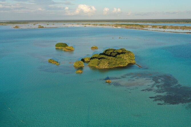 Private Catamaran Tour - Stromatolites and Bacalar’s oldest natural story