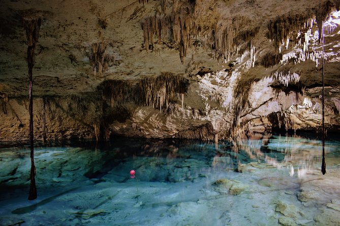 Private Cenote & Snorkeling Tour with Turtles in Akumal - What can affect your experience