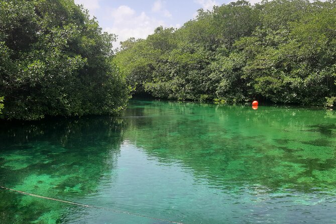 Private Cenotes tour - Two cenotes, two very different moods