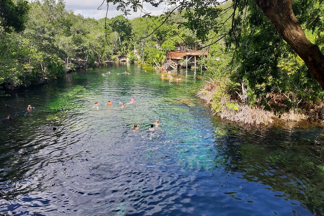 Private Cenotes tour - Guides who shape the experience