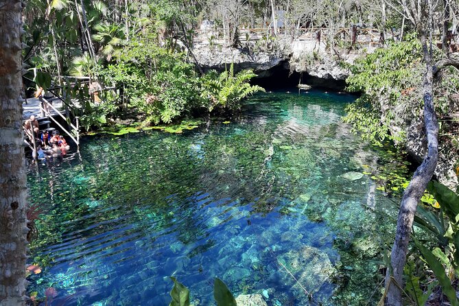 Private Cenotes tour - Timing, pickup, and the shape of the day
