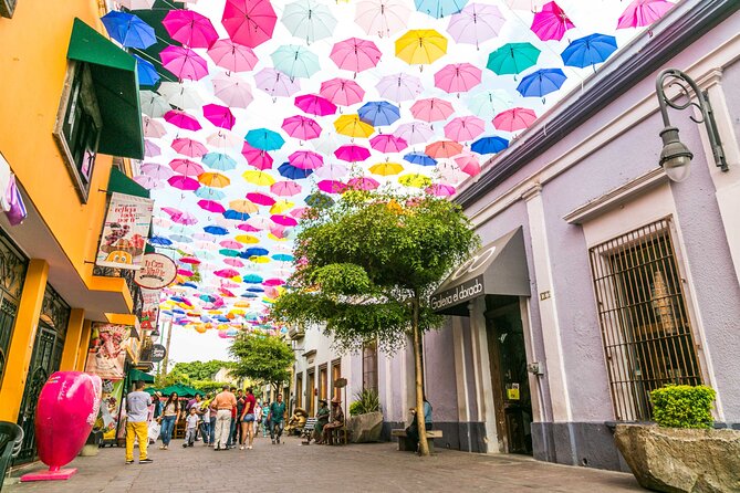Private City Tour Guadalajara and Tlaquepaque - La Minerva and Chapultepec’s changing city