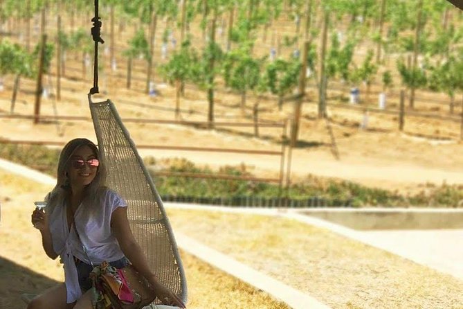 Private Curated Wine Tour in Valle de Guadalupe - How the $250 group price works
