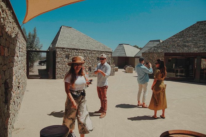 Private Curated Wine Tour in Valle de Guadalupe - Pickup, timing, and cruise-ship use