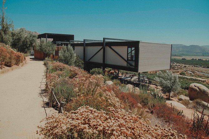 Private Curated Wine Tour in Valle de Guadalupe - Stop one: Vinisterra Vitivinicola, a small start