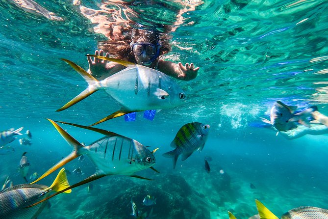 Private Day Trip to San José & Cabo San Lucas - Panoramic views without a crowded group