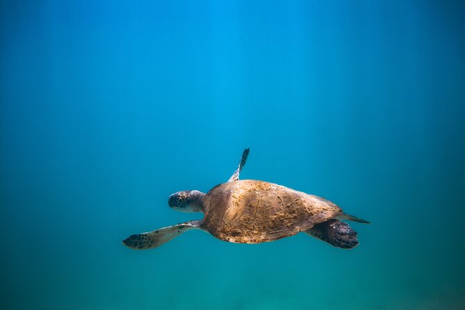 Private Dive Boat for Certified Divers - Cabo San Lucas - The surface interval at Cabo’s Arch