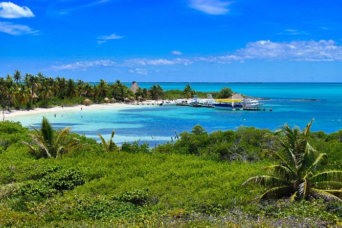 Private Escape: Isla Contoy & Isla Mujeres with Snorkeling - Punta Sam and the private speedboat