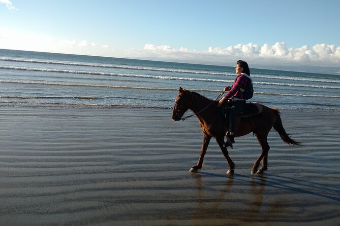 Private excursion to the bufadora and horseback riding on the beach - Why the private vehicle changes the day