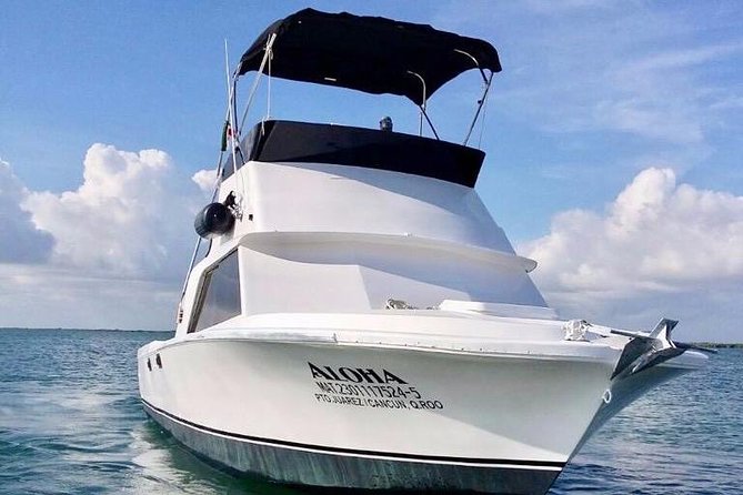 Private fishing charter Bertram 31ft 6 pax max if you don't fish you don't pay - What happens on the water