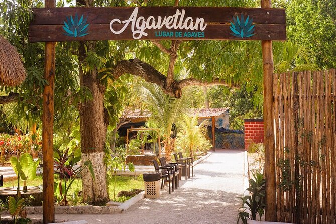 Private Jeep and 4x4 Polaris RZR Tour with Mexican Lunch - What the $134.99 price really buys