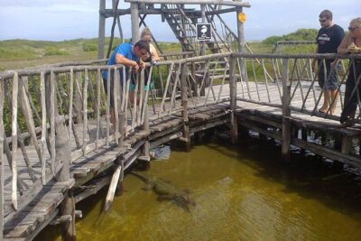 Private Jeep Excursion in Cozumel with Lunch and Snorkeling