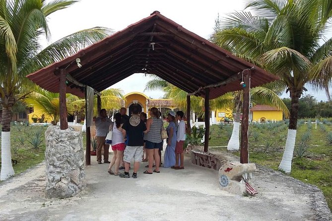 Private Jeep Excursion in Cozumel with Lunch and Snorkeling - The extra tastings and staged cultural stops