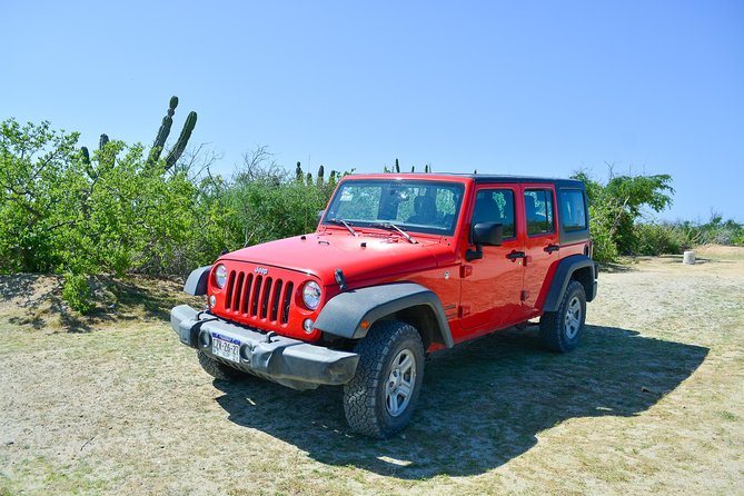 Private Jeep Tour Cabo Pulmo - What the private format really changes
