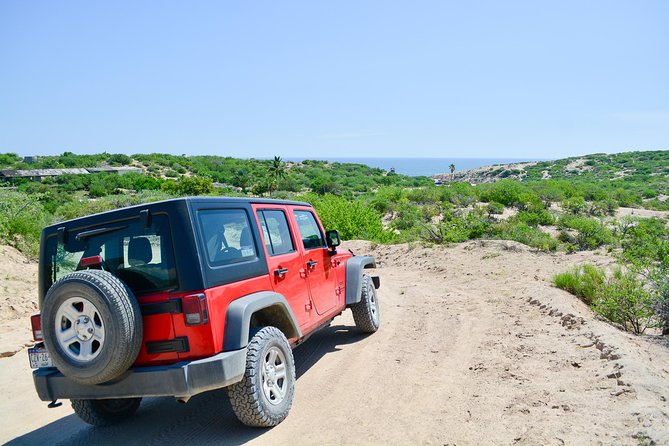 Private Jeep Tour Cabo Pulmo - Weather, road conditions, and cancellation details