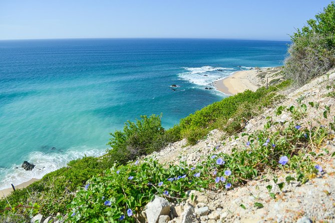 Private Jeep Tour Cabo Pulmo - Who will get the most from this Cabo Pulmo outing?