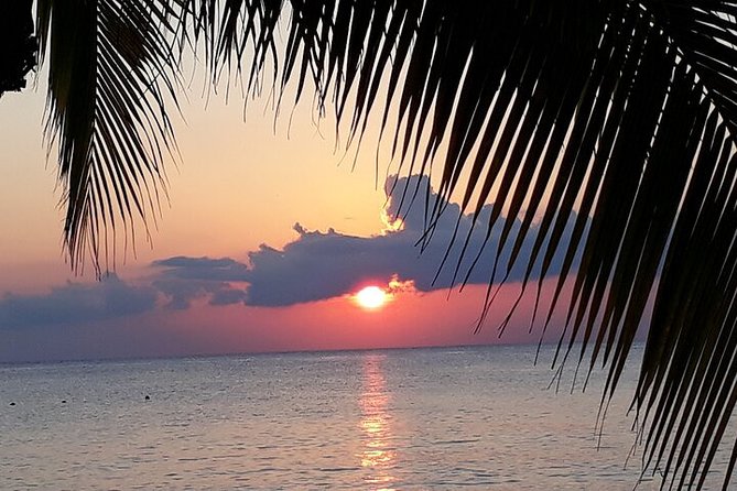 Private Jeep Tour in Cozumel - The Beach Break at Punta Sur