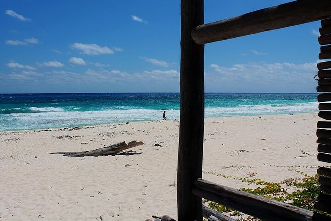 Private Jeep Tour in Cozumel - San Martin and Chen Rio on the Wild Coast