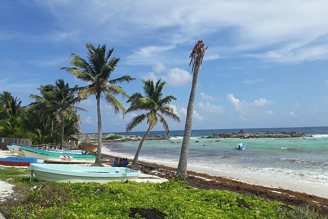 Private Jeep Tour in Cozumel - Meeting Your Guide Near the Cruise Piers