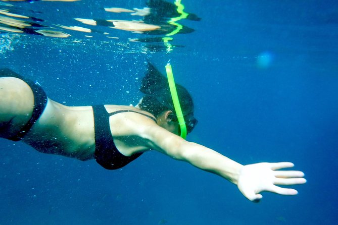Private Los Arcos Snorkel and Beach Tour from Puerto Vallarta - Key points to know before booking