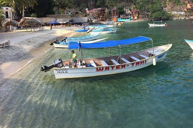 Private Los Arcos Snorkel and Beach Tour from Puerto Vallarta - Should you book the Los Arcos and Las Ánimas tour?