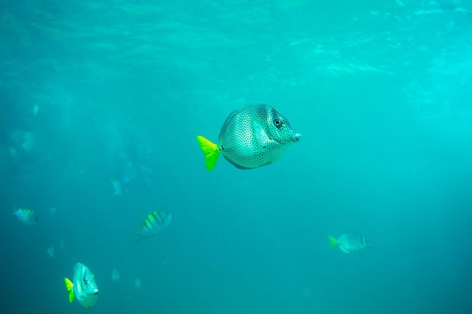 Private Los Cabos Arch & Playa del Amor tour by Glass bottom kayak - A quiet start beneath the Cabo Arch