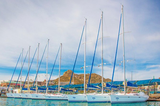 Private Luxury Sailing Cruise in Los Cabos with Lunch and Open Bar - What the $2,299 group price really buys