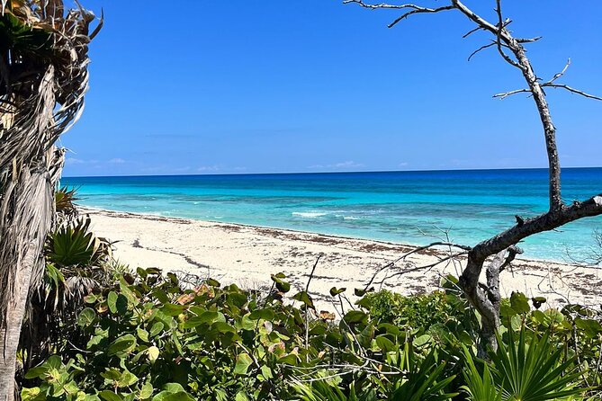 Private Mayan Ruins Tour with Cenote/caves and Mexican Picnic - Price, pickup, and the practical details