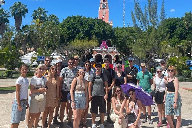Private Merida Tour on a Budget - Best Rated - Plaza Grande and the center of daily Mérida
