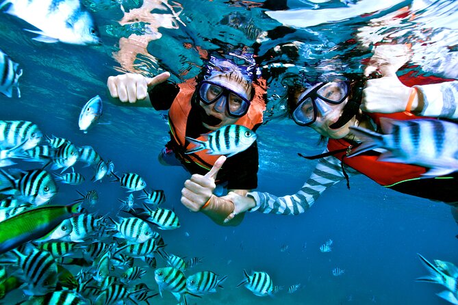 Private MUSA Snorkeling Experience at Isla Mujeres and Cancun - Snorkeling, Swimming, and Time to Slow Down