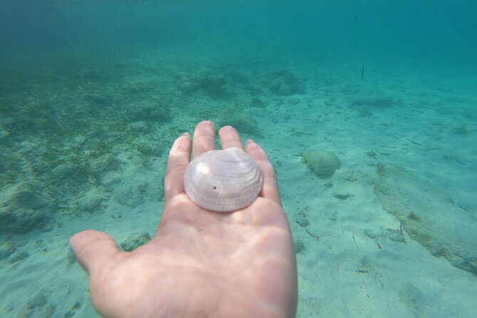 Private MUSA Snorkeling Experience at Isla Mujeres and Cancun - The Boat, Shade, and Onboard Drinks