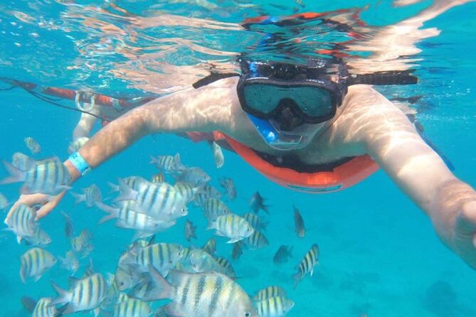Private MUSA Snorkeling Experience at Isla Mujeres and Cancun - At MUSA, Art Beneath the Water