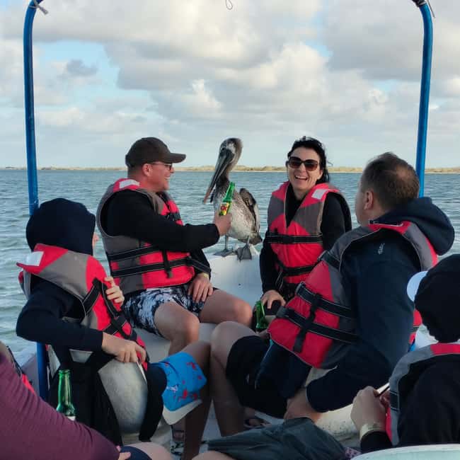 Private Ría Lagartos Boat Tour: Flamingos & Crocodiles - Key points to know
