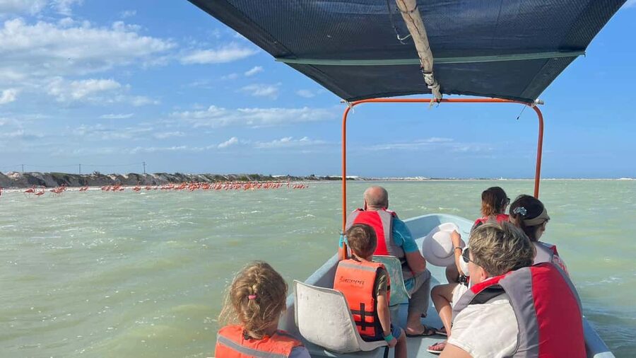 Private Ría Lagartos Boat Tour: Flamingos & Crocodiles - Should you book the Ría Lagartos boat tour?