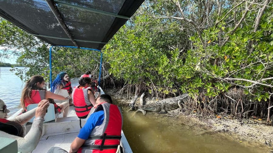 Private Ría Lagartos Boat Tour: Flamingos & Crocodiles - A private boat through Ría Lagartos