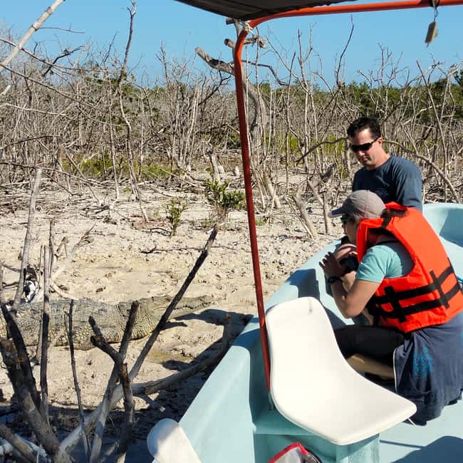 Private Ría Lagartos Boat Tour: Flamingos & Crocodiles - The Mayan clay bath and beach stop